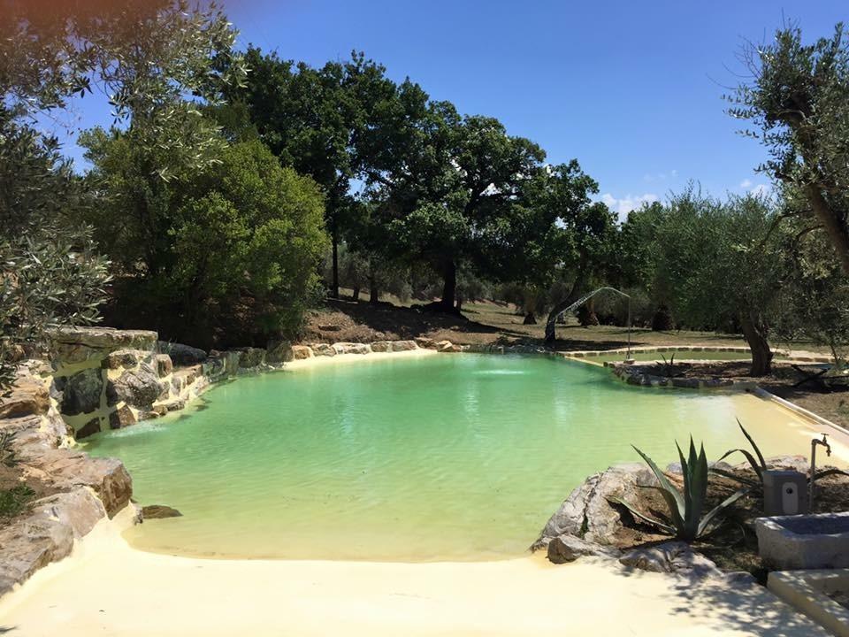 Agriturismo La Fontanella & Glamping Suvereto Zewnętrze zdjęcie