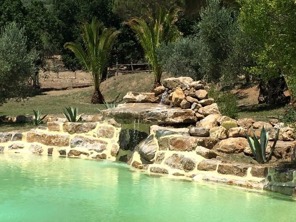 Agriturismo La Fontanella & Glamping Suvereto Zewnętrze zdjęcie