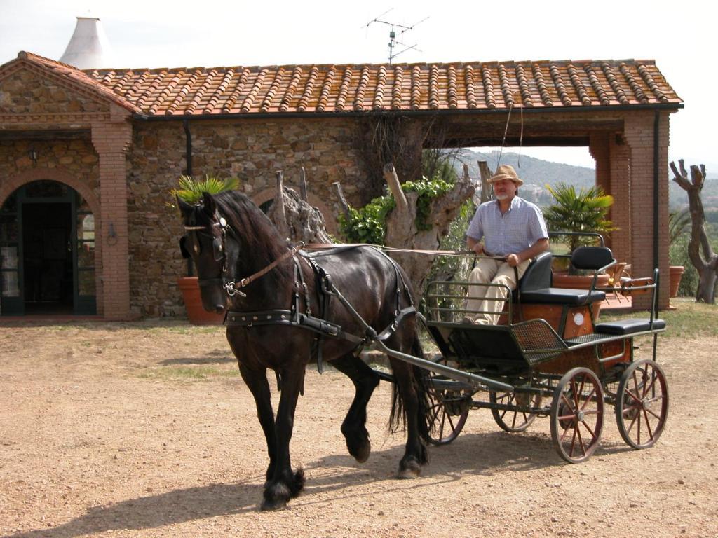 Agriturismo La Fontanella & Glamping Suvereto Zewnętrze zdjęcie