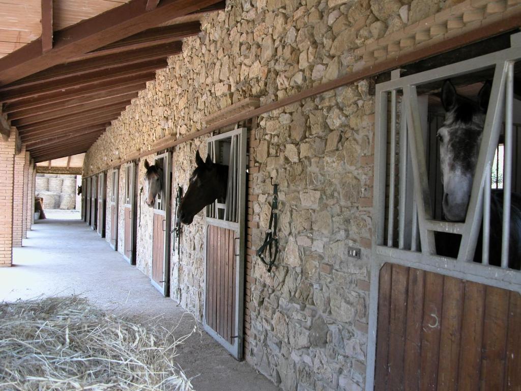 Agriturismo La Fontanella & Glamping Suvereto Zewnętrze zdjęcie