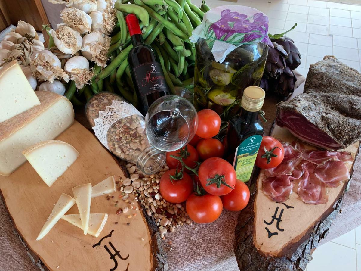 Agriturismo La Fontanella & Glamping Suvereto Zewnętrze zdjęcie